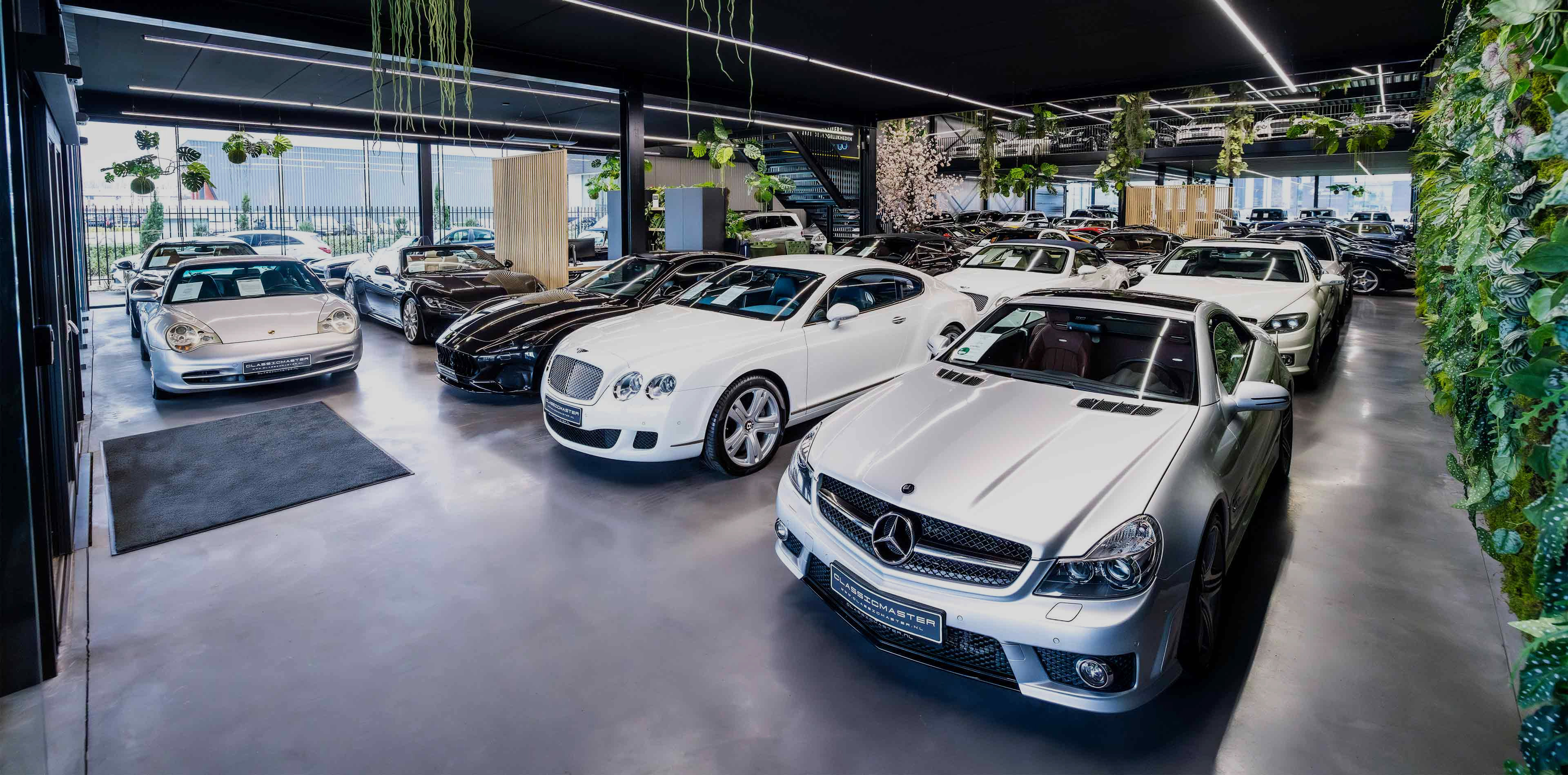 Header Image 2